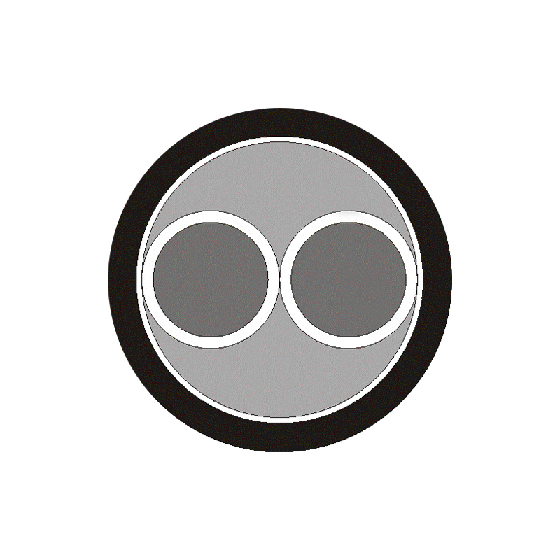 XLPE/PVC 絶縁ケーブル (ワイヤ) 定格電圧 450/750V 以下